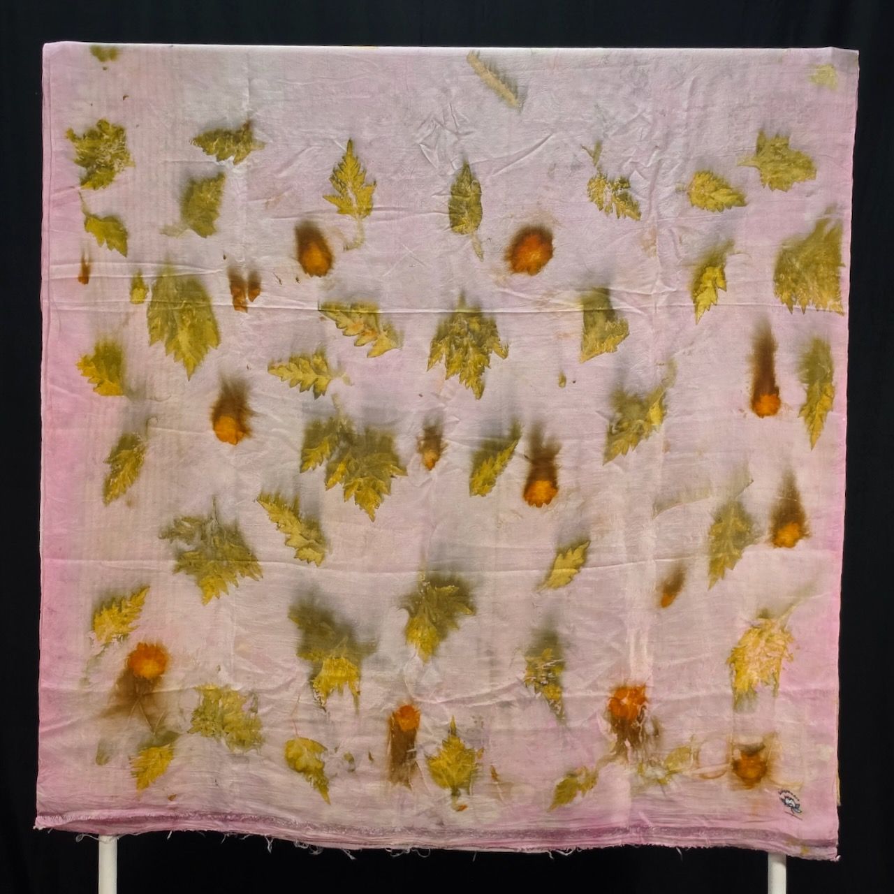 Eco Printed Silk Saree 001 view 3