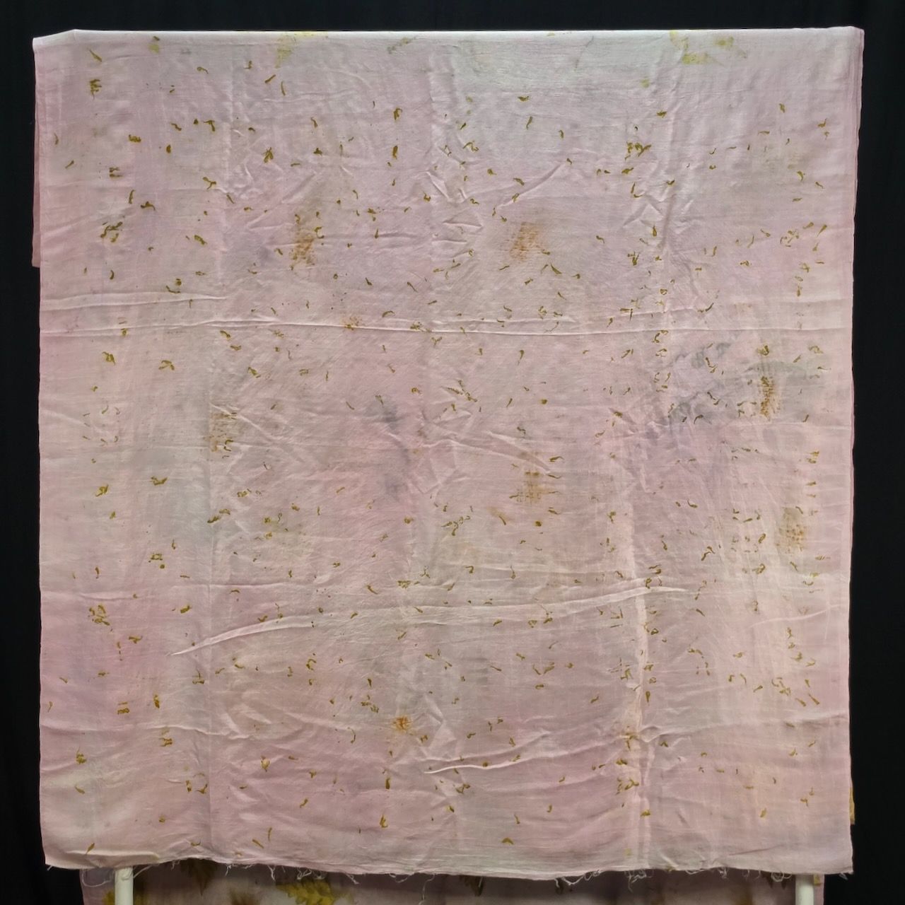 Eco Printed Silk Saree 001 view 4