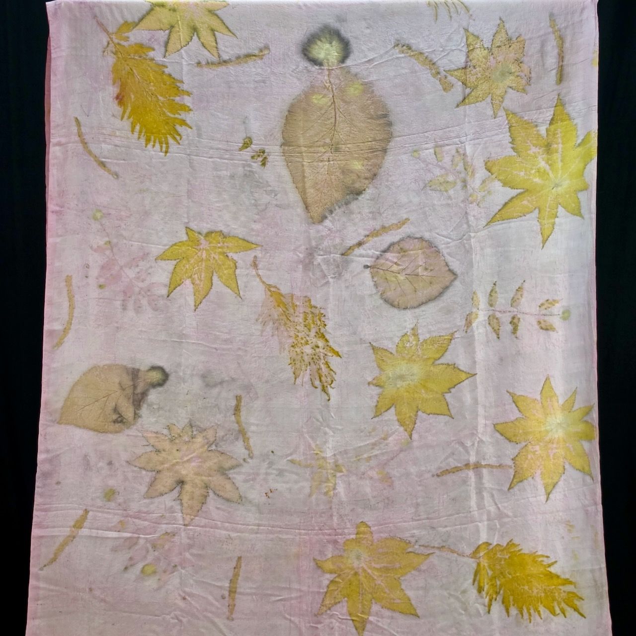 Eco Printed Silk Saree 001 view 2