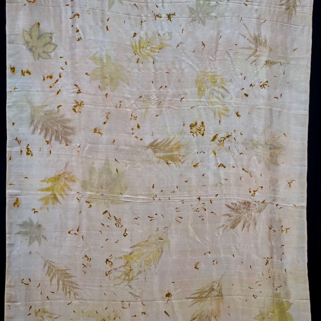 Eco Printed Silk Saree 003 view 2
