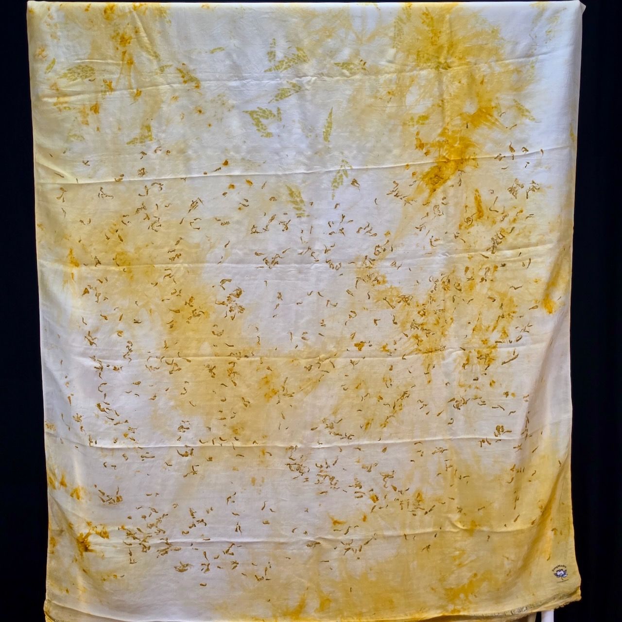 Eco Printed Silk Saree 004 view 2