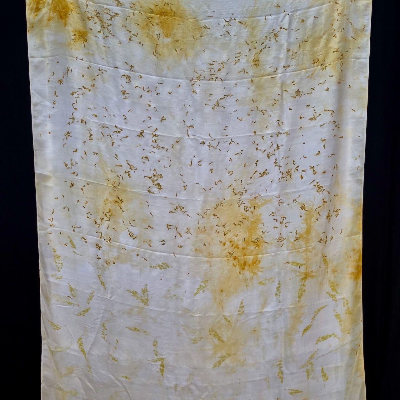 Eco Printed Silk Saree 004 view 3