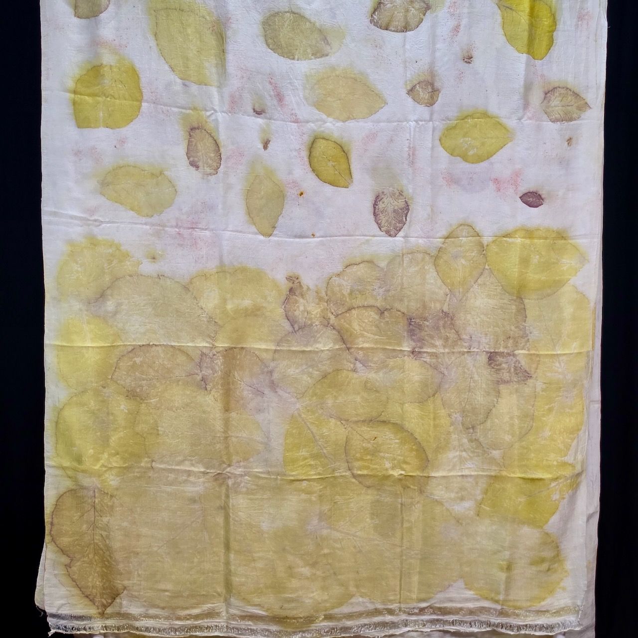 Eco Printed Chenderi Silk Saree 001 — block-printed artisanal piece