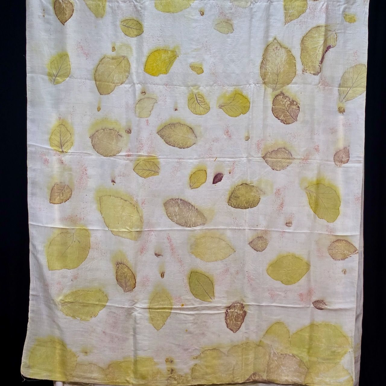 Eco Printed Chenderi Silk Saree 001 view 2