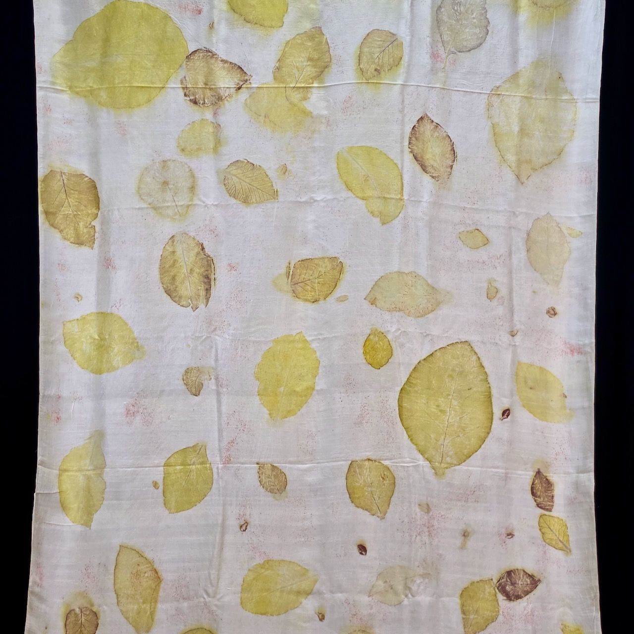 Eco Printed Chenderi Silk Saree 001 view 3