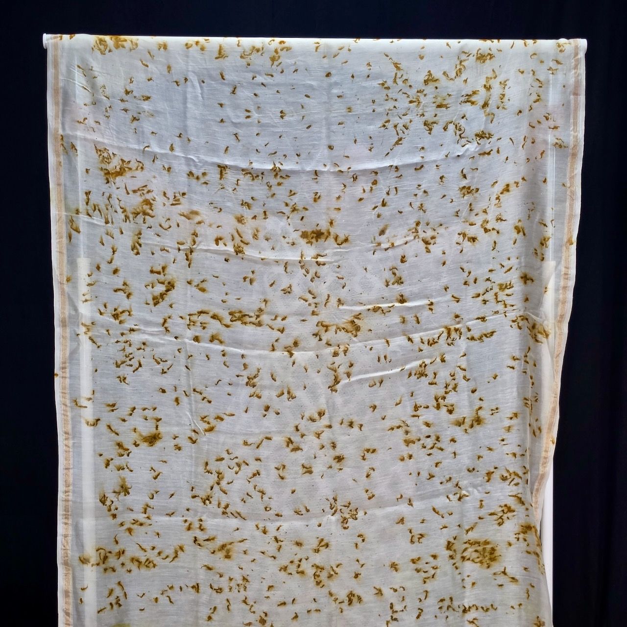 Eco Printed Chenderi Silk Saree 002 view 3