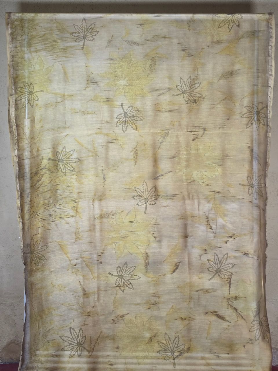 Eco Printed Chenderi Silk Saree 003 view 2