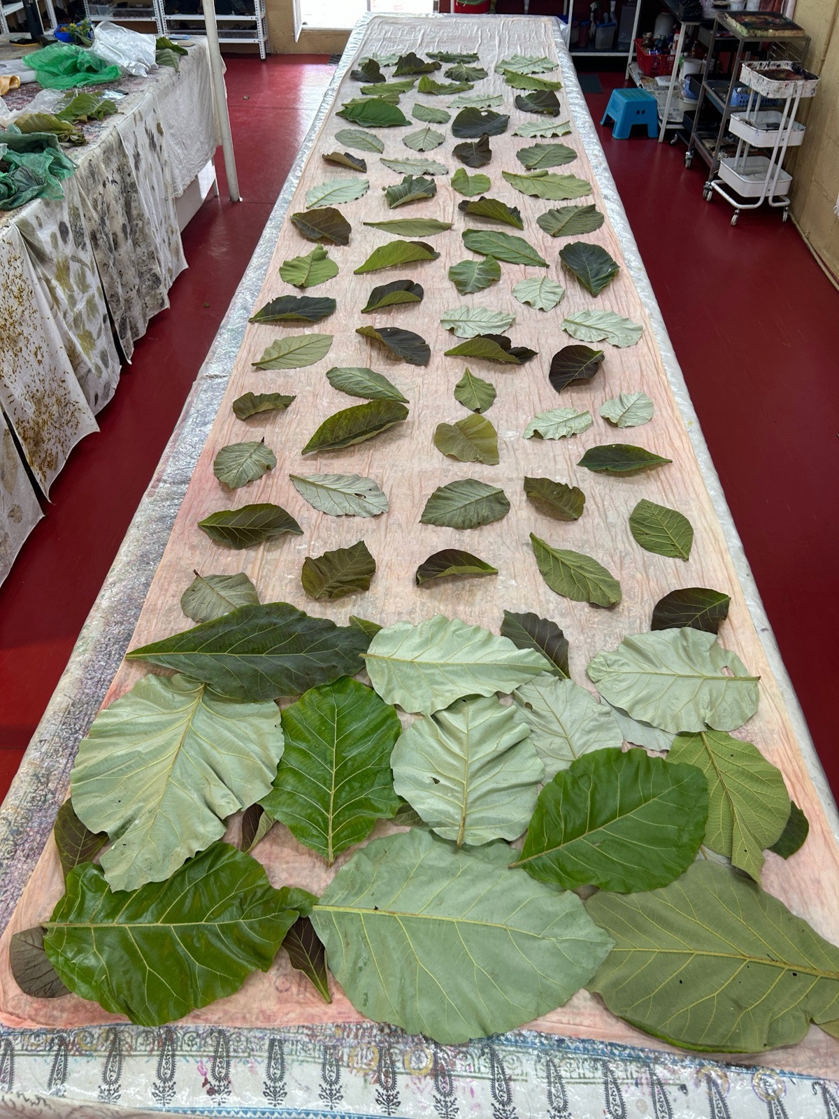 Eco Printing Workshop, photo 3