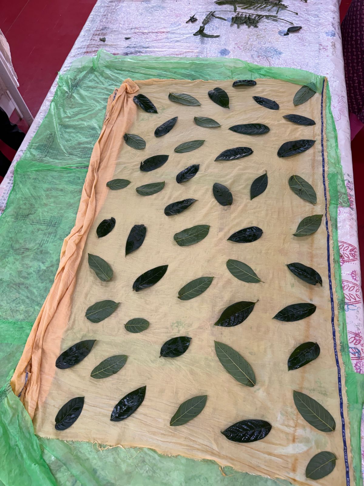 Eco Printed Silk Stole 009 — the process, step 1